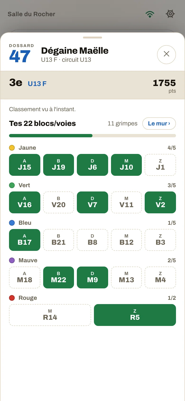 La fiche du grimpeur dans l'application : ses 22 blocs groupés par couleur, les réussis en vert