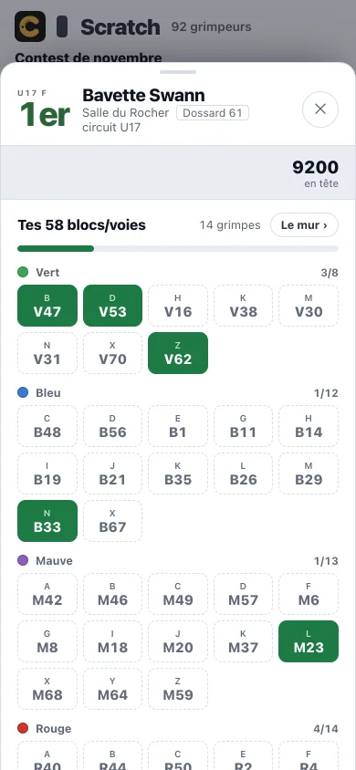 La fiche d'une grimpeuse : dossard 47, 1re au scratch, ses 29 blocs par couleur, les réussis en vert